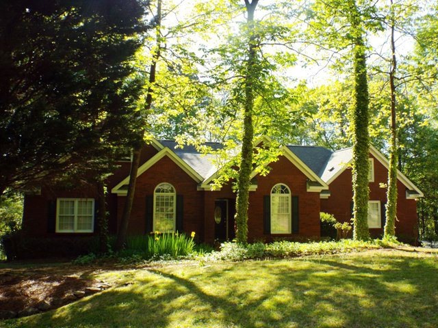 Main View