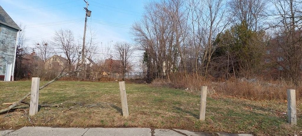 1753 Rosedale Ave, Cleveland, OH 44112 - photo 1