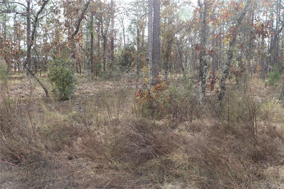 00 Geranium Ave, Dunnellon, FL 34431 - photo 1