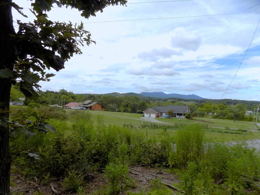 Mountain Views