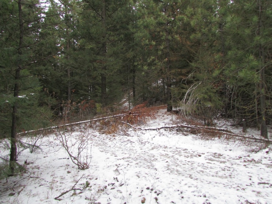 0 Highland Lp unit 721902, Ronald, WA 98940 - photo 1