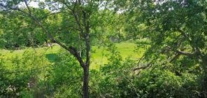 8117 Foxfire Ln unit D, Fort Worth, TX 76108 - photo 1