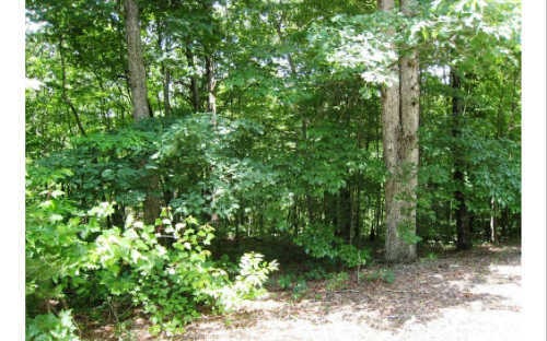 LOT 3 Toccoa Preserve Ct, Blue Ridge, GA 30513 - photo 1