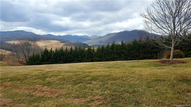 9999 Justice Dr, Leicester, NC 28748 - photo 1