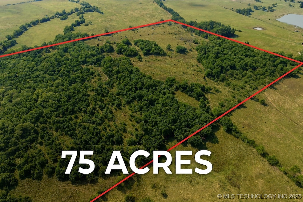 0075 N3840 Rd, Atoka, OK 74525 - photo 1