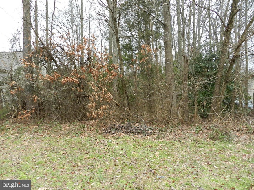 0 Albrough Blvd unit 1000408147, Colonial Beach, VA 22443 - photo 1