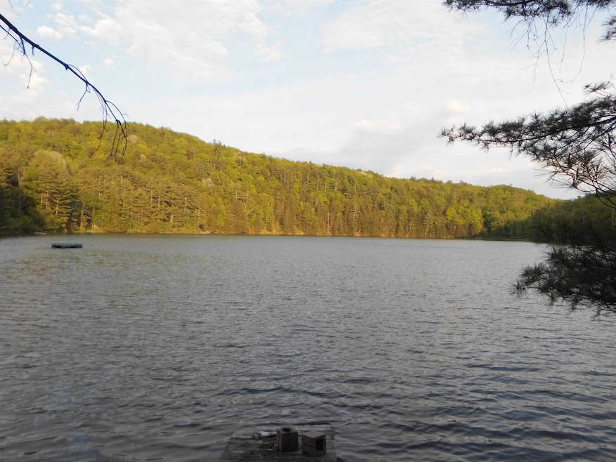 42 Toms Ln, Hubbardton, VT 05735 - photo 1