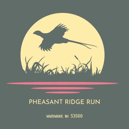 603 Prairie Ln, Mazomanie, WI 53560 - photo 1