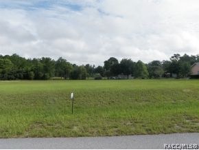 1051 E Triple Crown Loop, Hernando, FL 34442 - photo 1