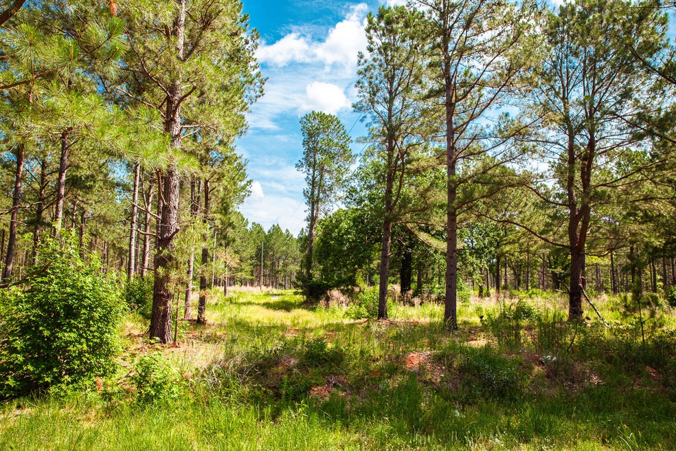 7175 Bill Dorn Rd, Appling, GA 30802 - photo 1