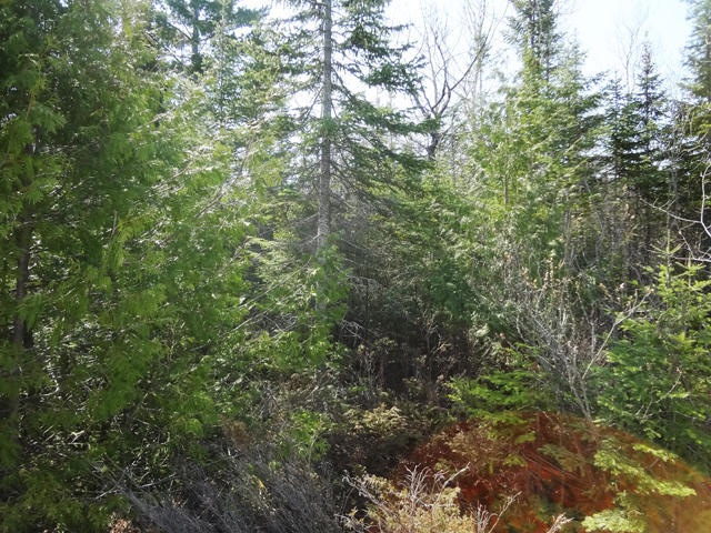 lot97