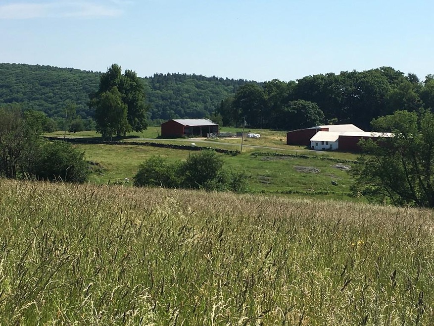 93 Steady Ln, Ashfield, MA 01330 - photo 1