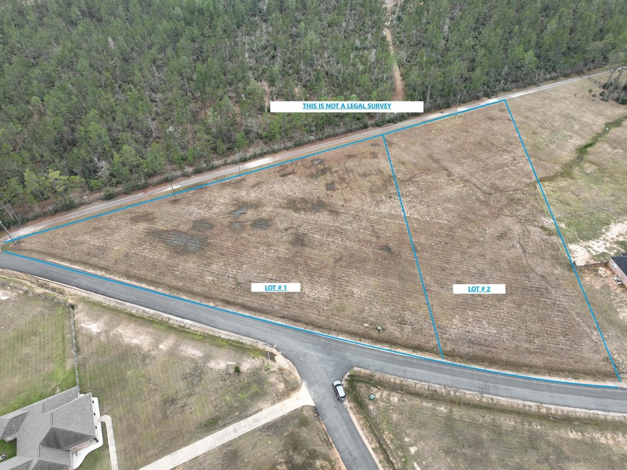 0 Tbd Midkiff Rd Lot 1 unit Lot 1, Longville, LA 70652 - photo 1