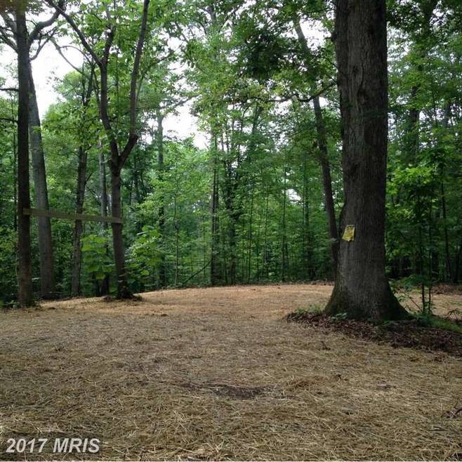 1539 Brooke Rd, Stafford, VA 22554 - photo 1