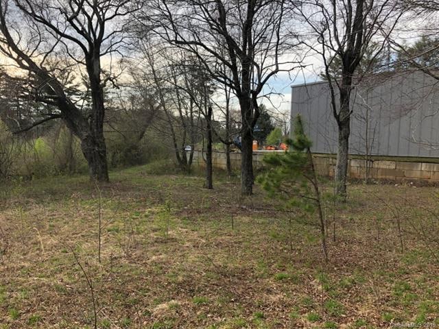 110 Baldwin Ave, Hendersonville, NC 28792 - photo 1