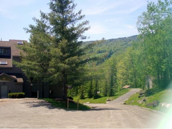 I Snowtree Oaks unit I, Dover, VT 05356 - photo 1