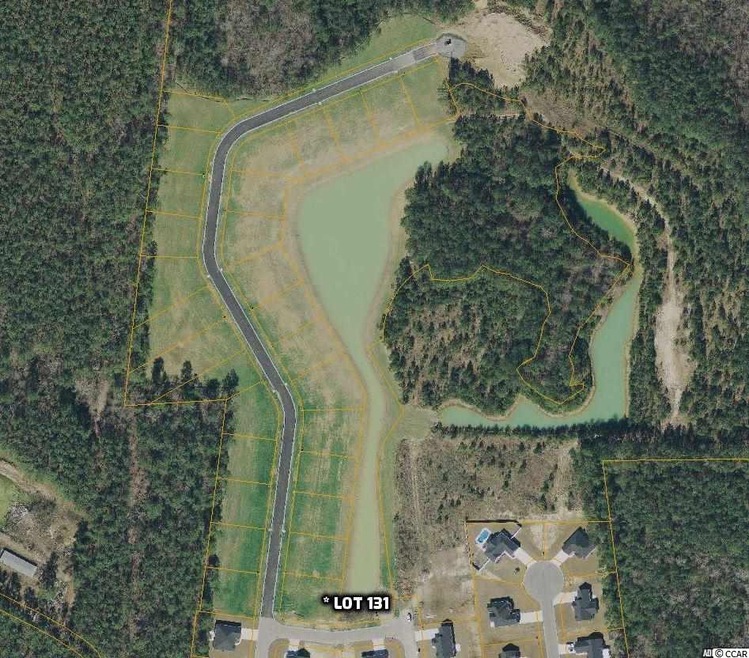 260 Macarthur Dr unit Lot 131 - Phase 2 -, Conway, SC 29527 - photo 1