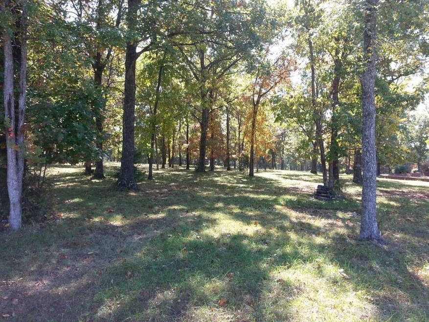 Lot 266 Little Aunts Creek, Kimberling City, MO 65686 - photo 1