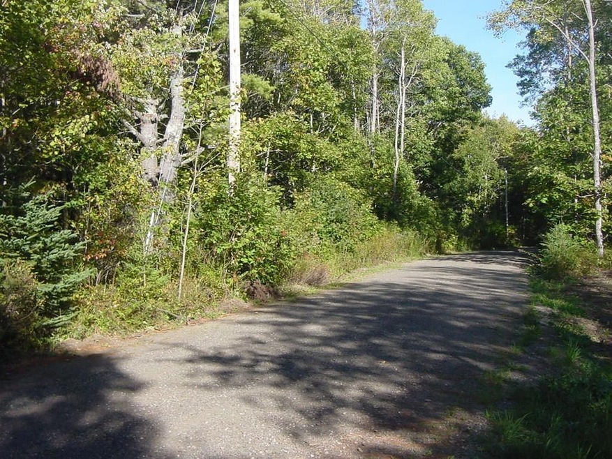 Long frontage on Maple Juice Lane....
