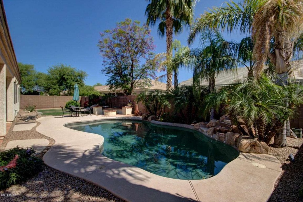 Amazing backyards