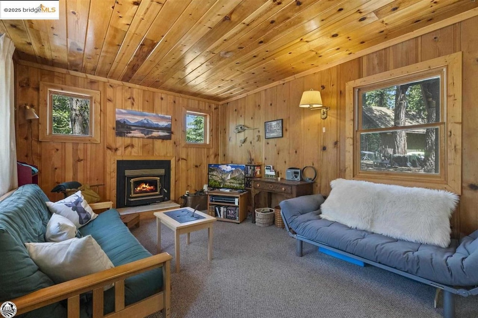 Living room featuring a healthy amount of sunlight, wooden ceiling, carpet floors, and wood walls