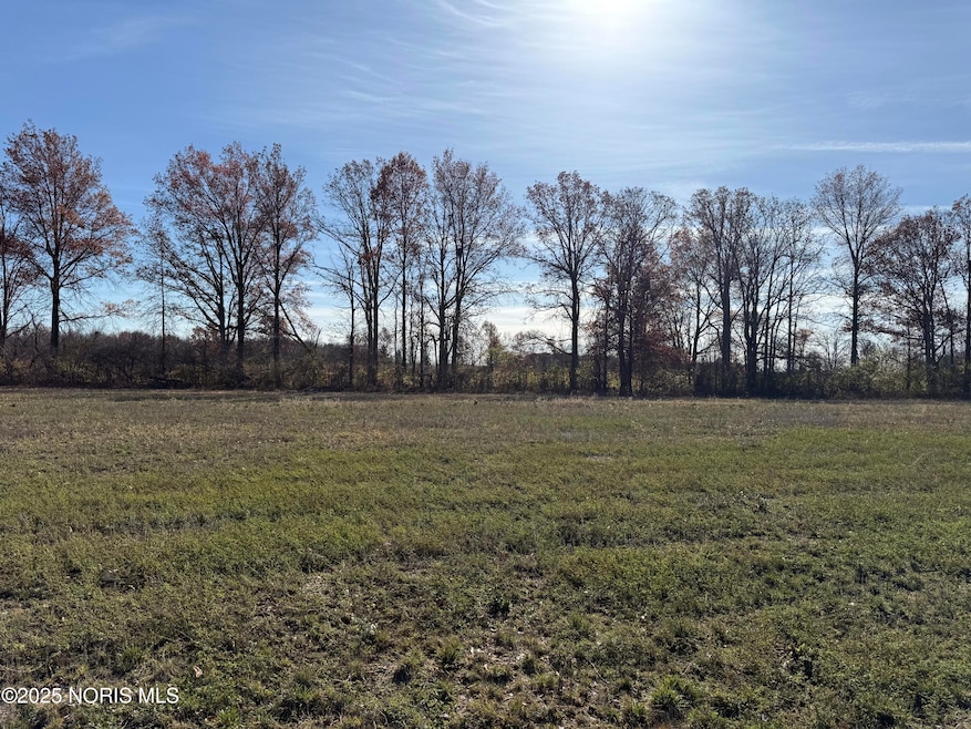 139 Coach House Loop, Bowling Green, OH 43402 - photo 1