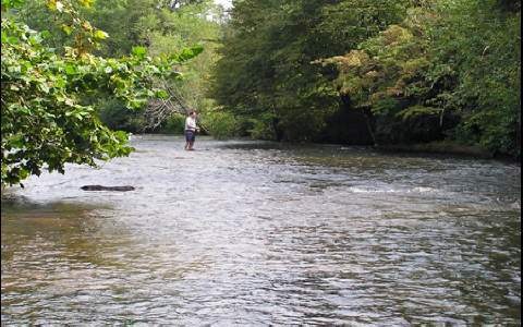 373 Wib Kendall Rd, Blue Ridge, GA 30513 - photo 1