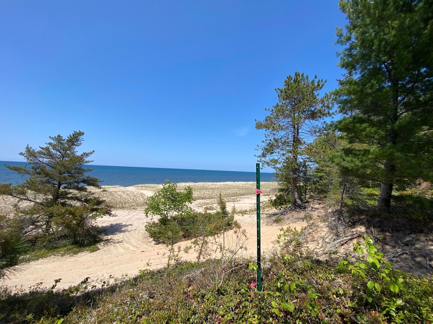 Parcel D Co Rd 412 Newberry, MI