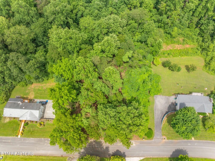 27-web-or-mls-Lot 51 Orchard Knob-8 (2)