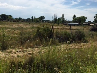 716 25 Rd, Grand Junction, CO 81505 - photo 1