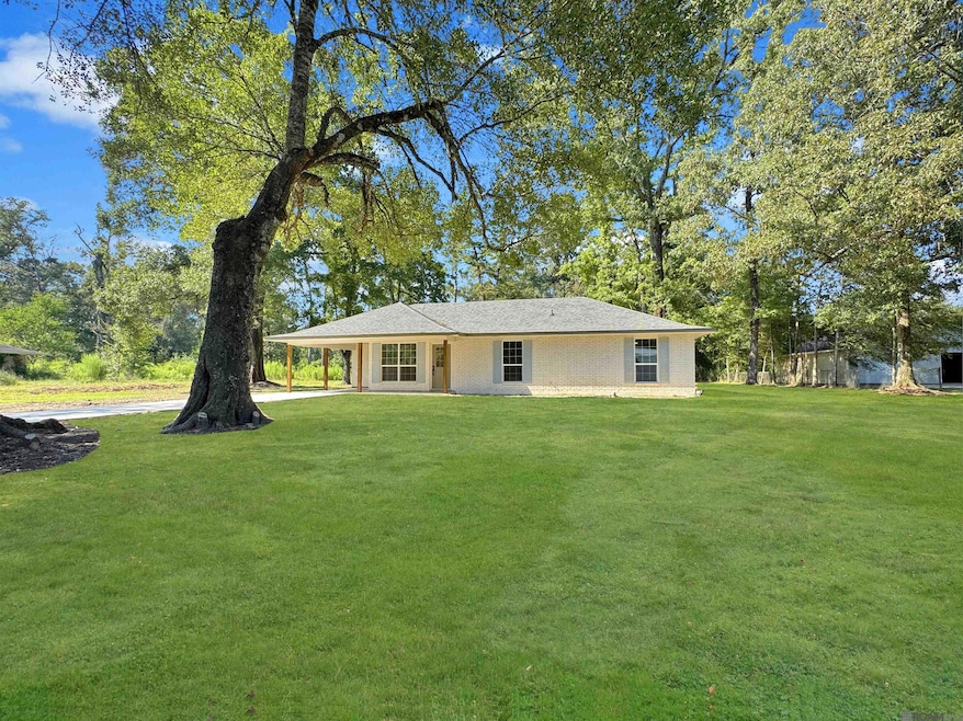 10735 Sherrie Ln, Denham Springs, LA 70726 - photo 1