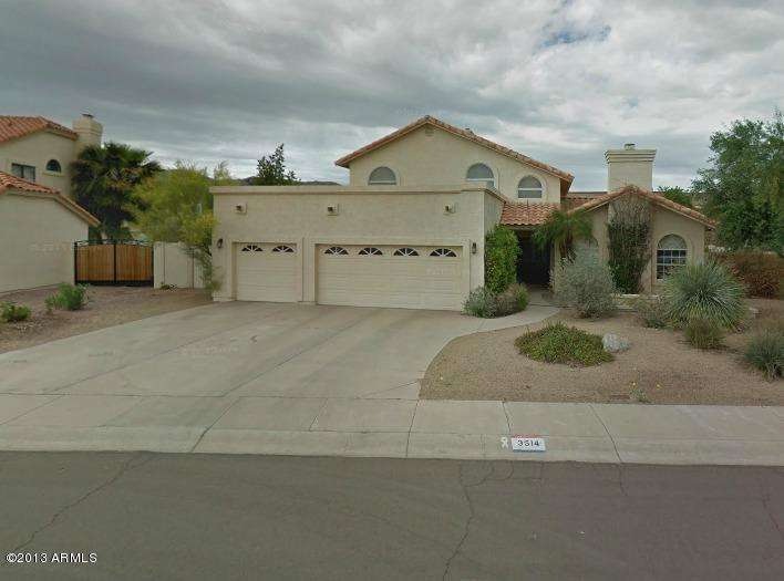 Desert Willow