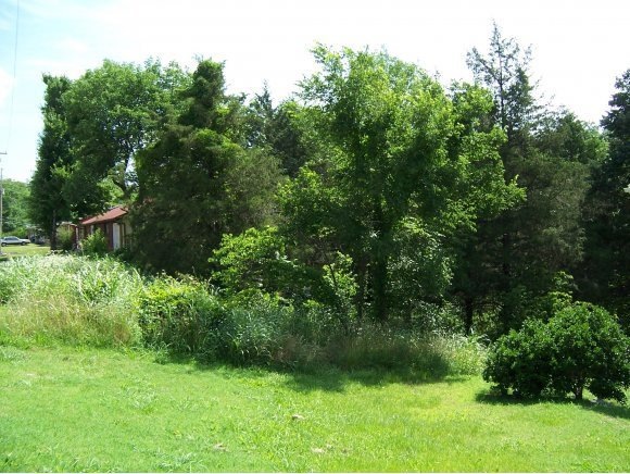 Tbd Lakeshore Dr, Kimberling City, MO 65686 - photo 1