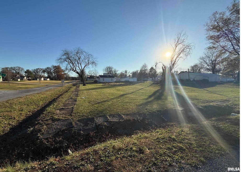 0 Jackson St, Hurst, IL 62949 - photo 1