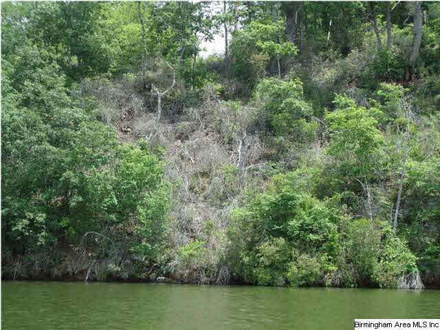 With 57 feet of water frontage, approval for a doc