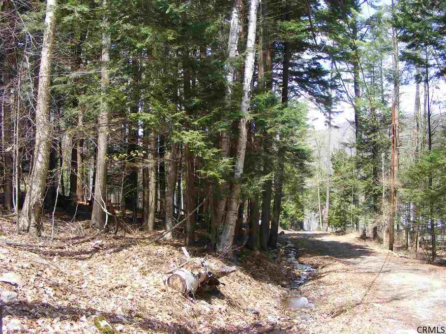 0 Eastern Ave unit 201334613, Day, NY 12835 - photo 1