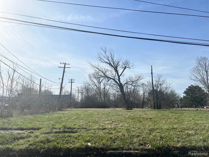 1925 Merrick St, Detroit, MI 48208 - photo 1