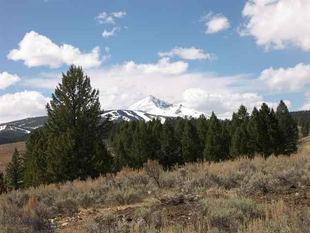 0 Bobtail Horse Rd unit 183120, Big Sky, MT 59716 - photo 1