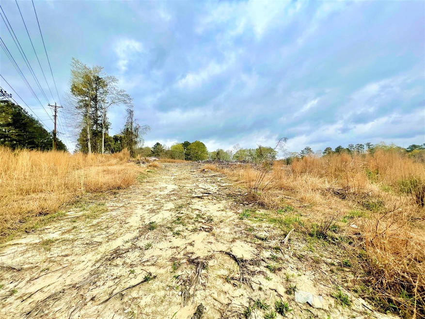 0 Lower Myrick Rd, Laurel, MS 39443 - photo 1