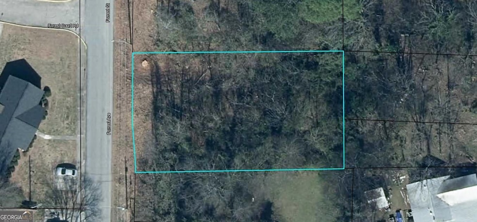 0 Forrest Ave unit 10652792, Rockmart, GA 30153 - photo 1