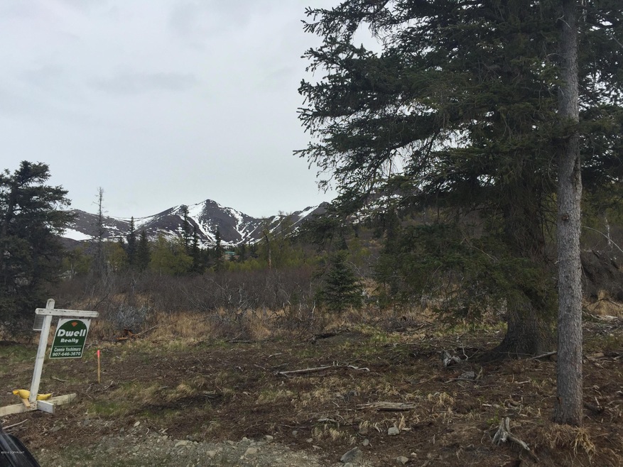 Lot 2- IMG_2369