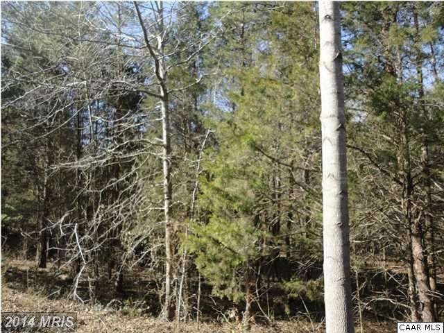 8005 Ellisville Dr, Louisa, VA 23093 - photo 1