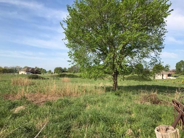 0 W Lot 3 Itaska unit 60088103, Nixa, MO 65714 - photo 1