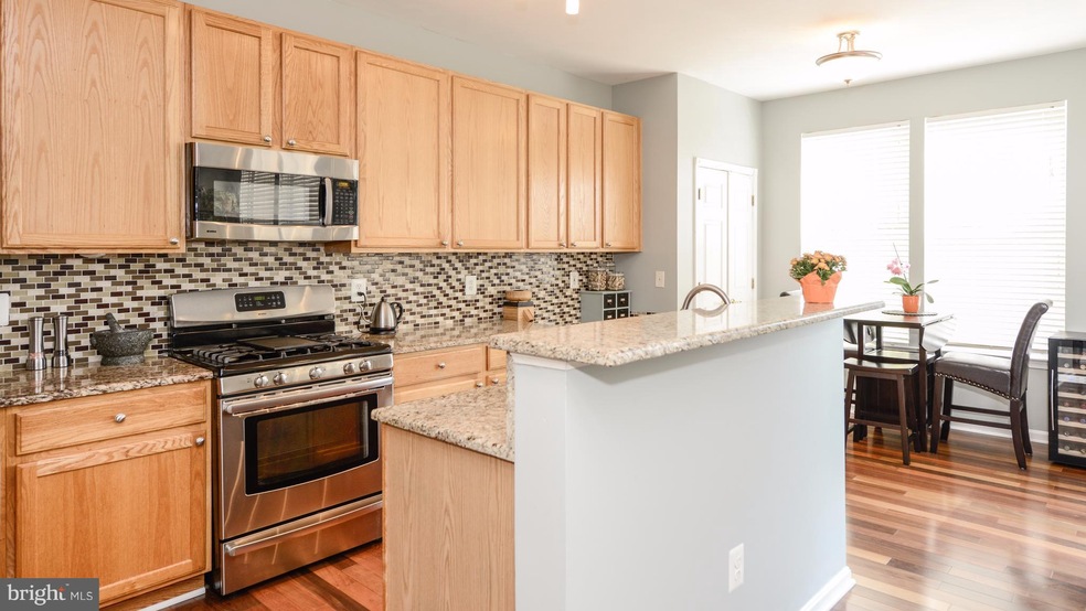 21546 Iredell Terrace, Broadlands, VA 20148 - photo 1