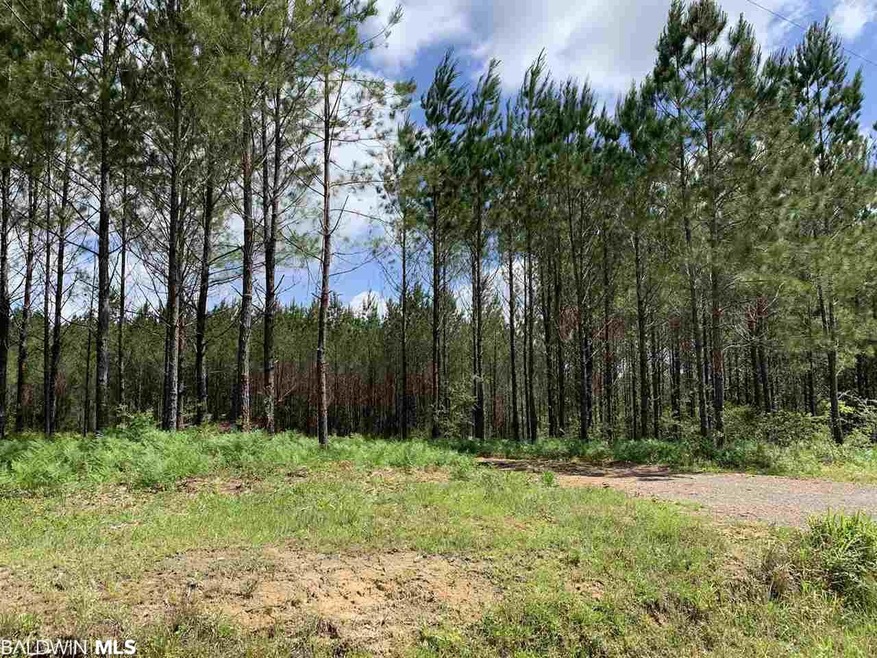 31810 Happy Hollow Rd, Robertsdale, AL 36567 - photo 1