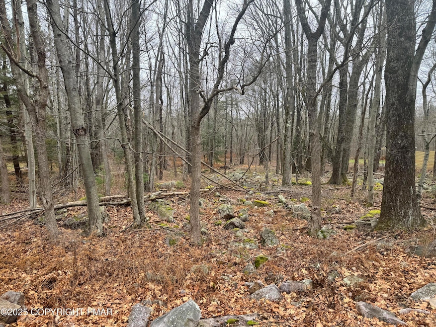 0 Crest View Dr 45 Aka Birch Dr, Blakeslee, PA 18610 - photo 1