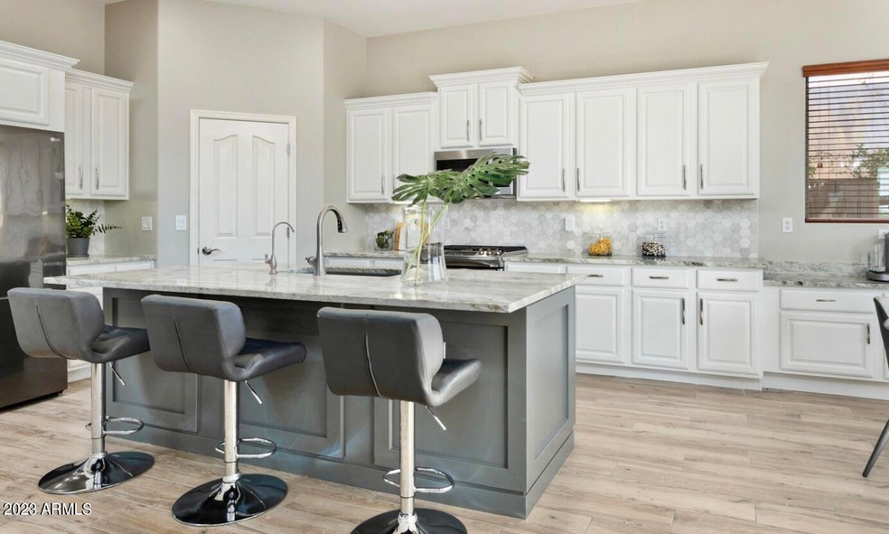 Ultra Modern Gourmet Kitchen