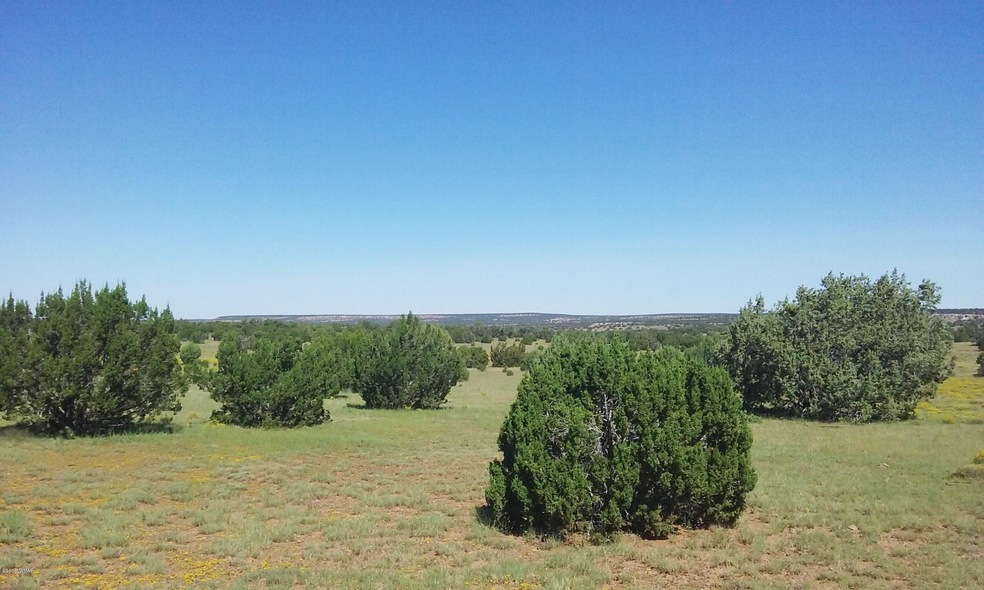 40+ Acre Ranch
