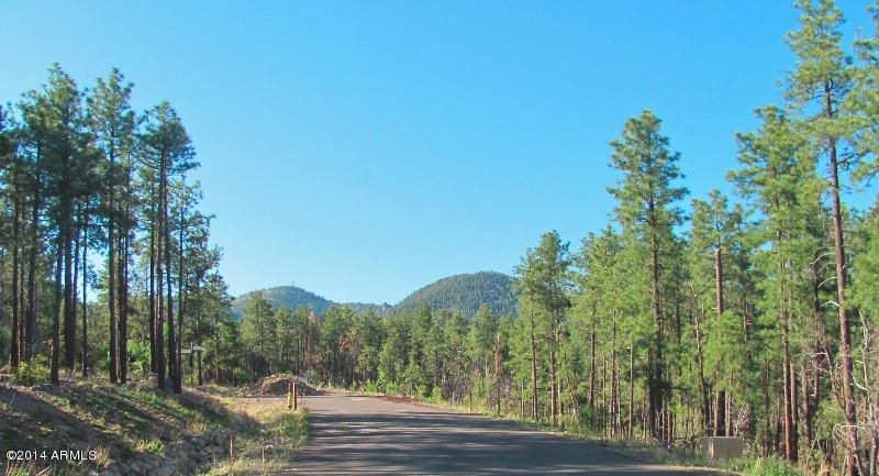 arizona_mountain_retreat_property_lot_wi