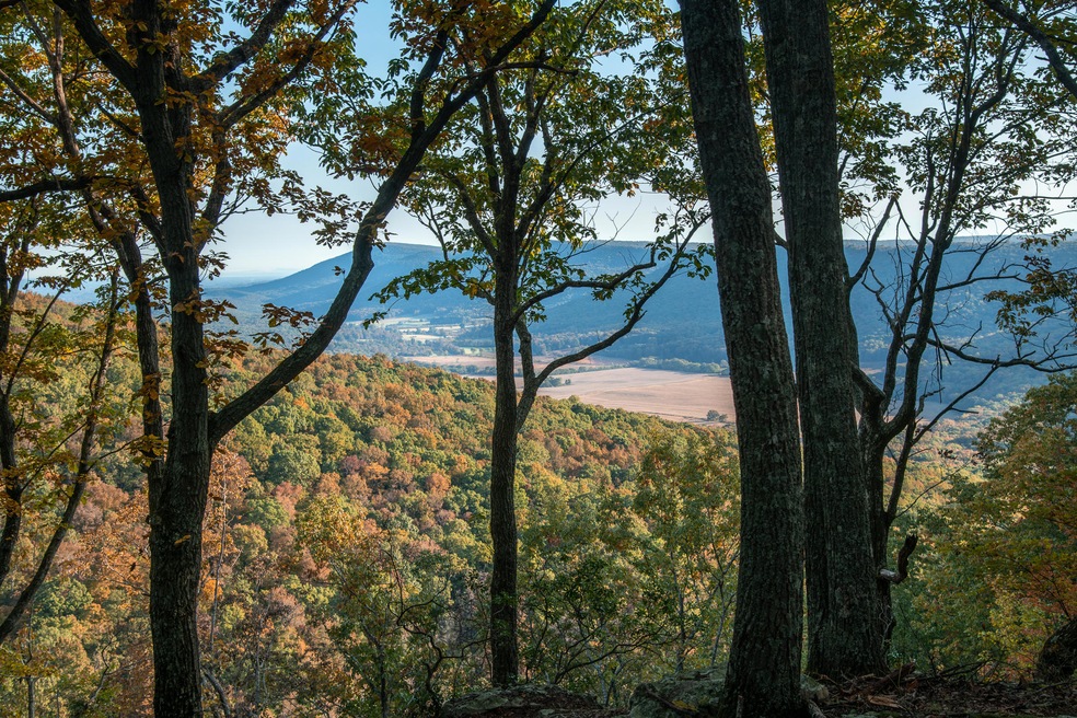 BluffView-1